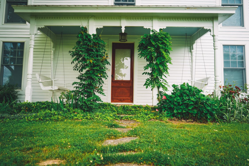 Lawn Care Improvements That Support Long-Term Landscape Health